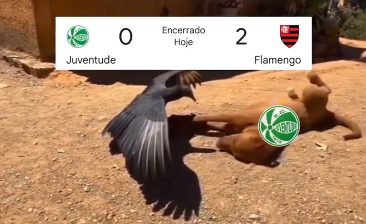Memes da Juventude 0x2 Flamengo fazem sucesso na internet: 'Sem minha piscina'