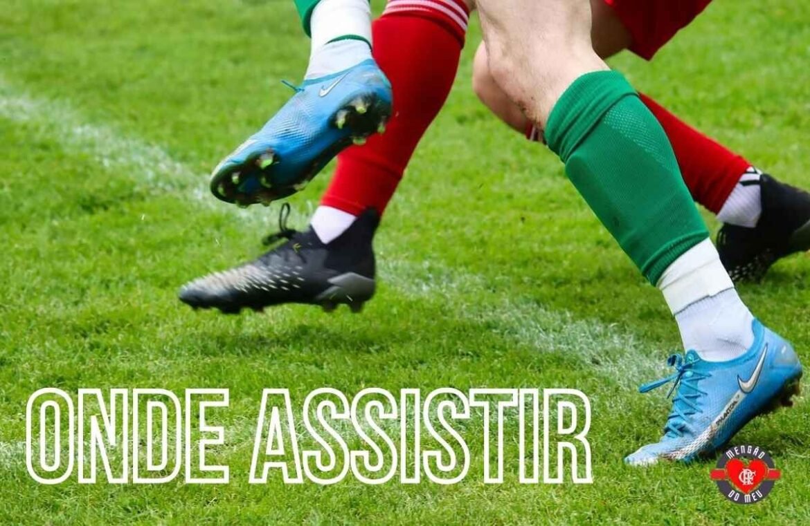 Onde Assistir Bahia x Internacional: Horário, Escalações e Transmissão ao Vivo no Premiere  - Mengão Blog